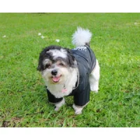 Doggy Dolly Дощовик чорний