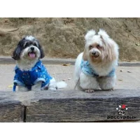 Doggy Dolly Сорочка темно-блакитна