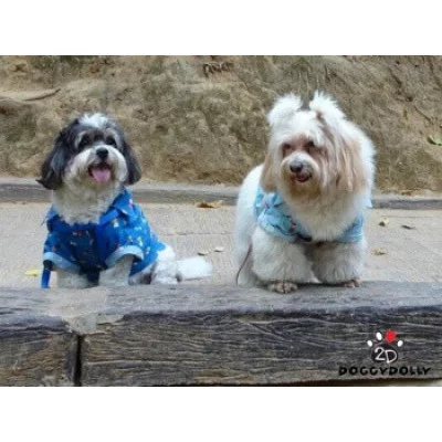 Doggy Dolly Сорочка темно-блакитна